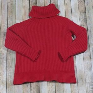 Everlane Italian Soft Wool Rib Turtleneck Sweater